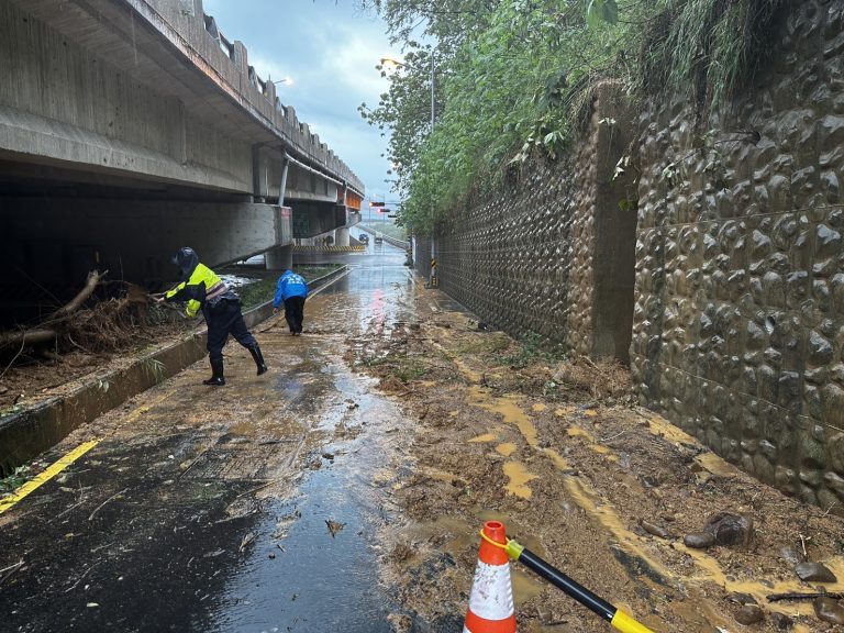 苗栗警民合作冒雨搬運清除路旁山坡的倒塌大樹
