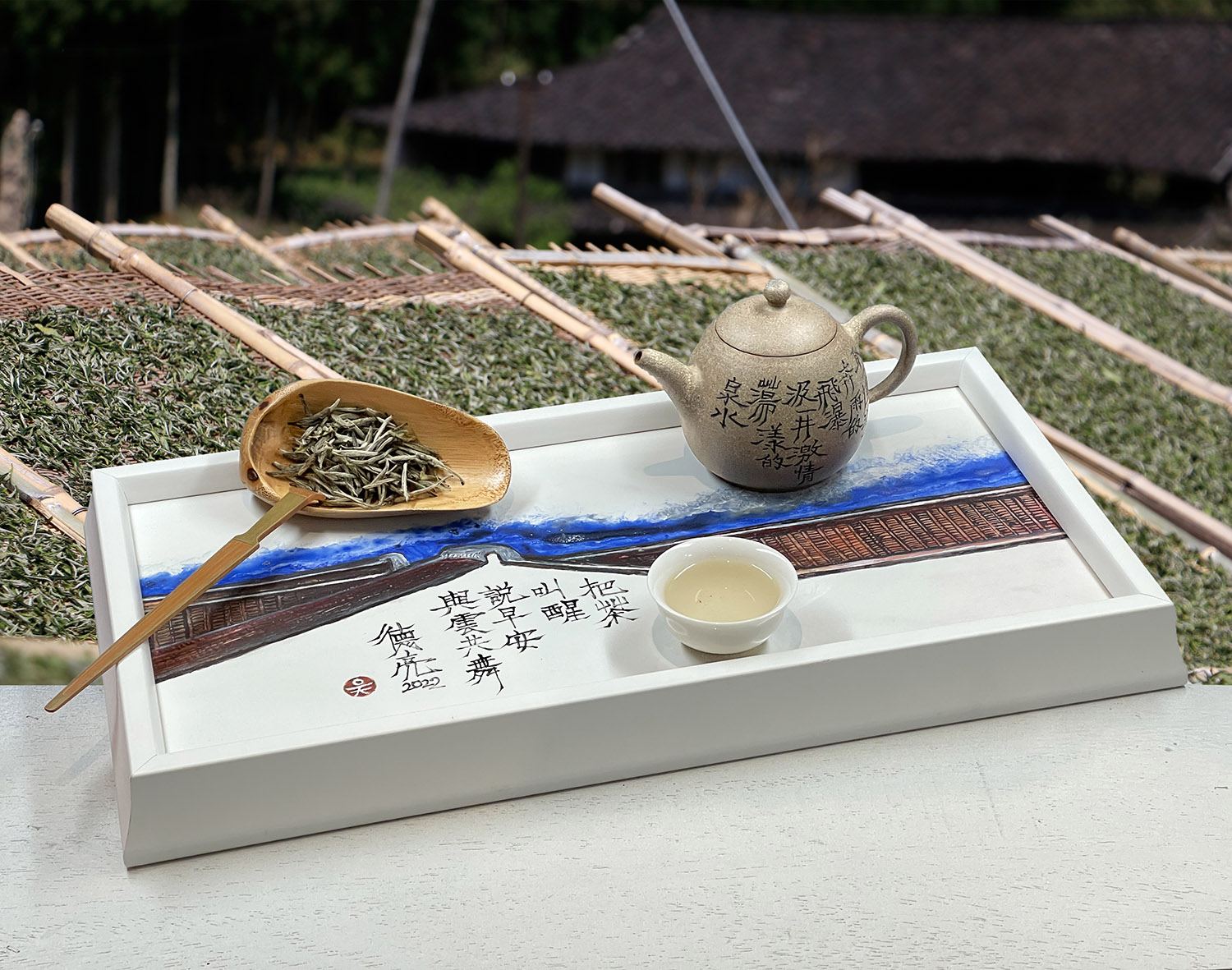 白茶中的高山茶－福鼎管陽鎮「白毫銀針」再探| 報新聞Mega News