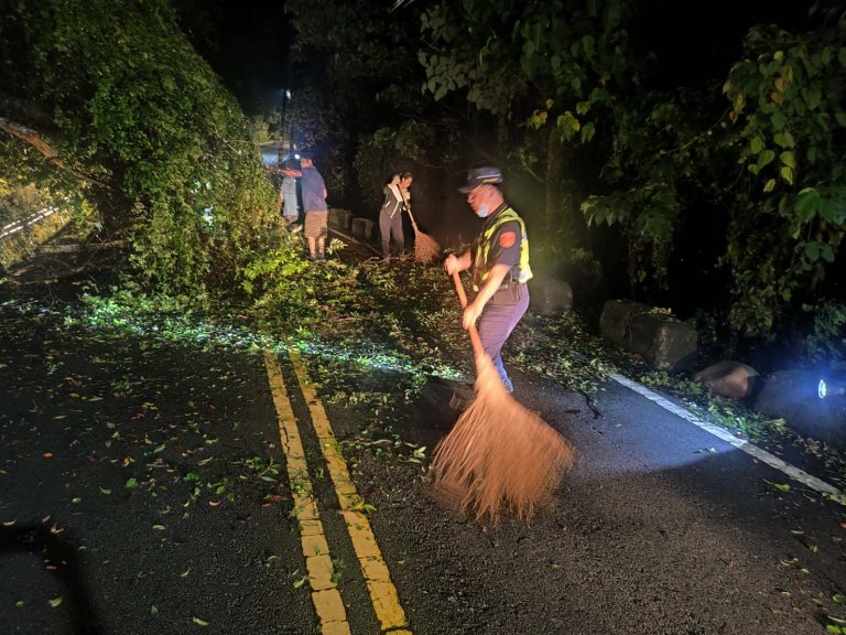 台中東勢警民合作於夜間清除倒塌路樹