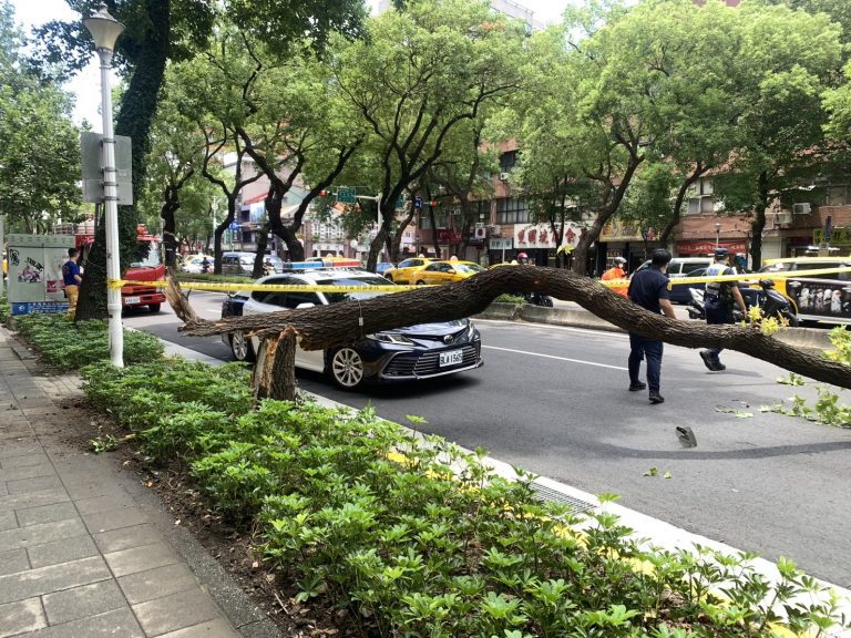 臺北中山區路樹倒塌事故！機車騎士遭重傷送醫急救