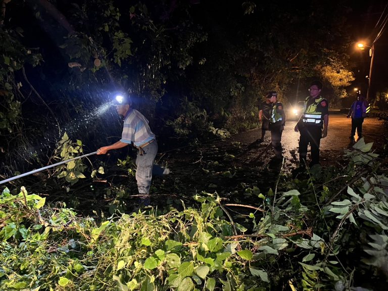 海葵颱風來襲造成多處路樹倒塌 新城警方冒雨到場協助排除