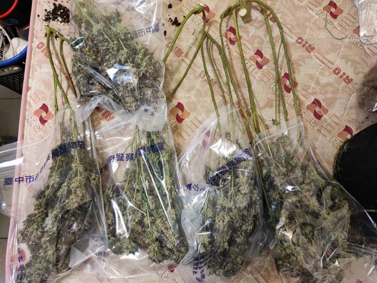警方破獲移工潛入廢棄校園宿舍內種大麻