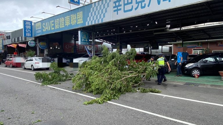 中颱小犬襲臺！烏日地區路樹倒塌！烏日警速排除