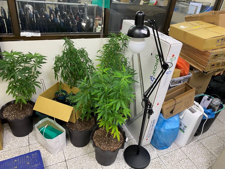 臺中警方成功查獲多宗毒品案件，包括大麻和K他命