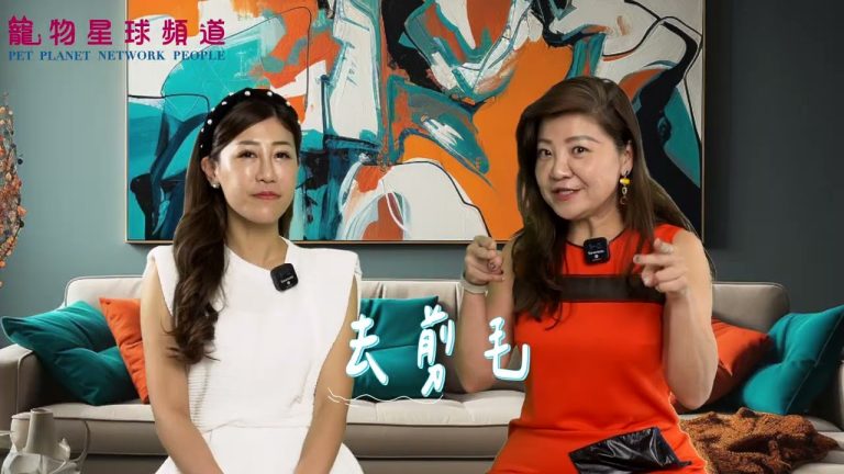 寵物星球頻道創辦人王鼎琪：『狗來富、貓來助，狗通人心、貓通人性』