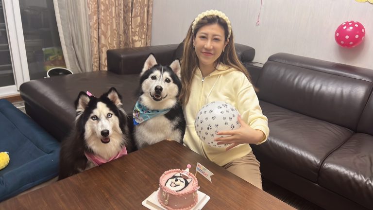 當寵物不受控時 寵物心靈療癒溝通是選項