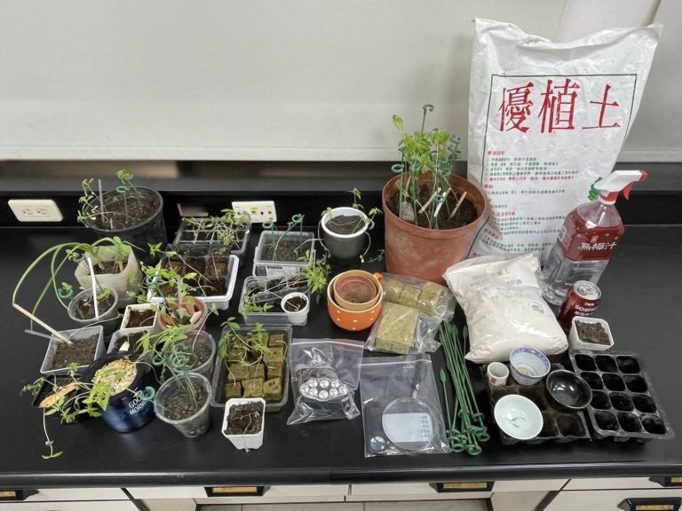 好奇種植大麻：桃園詹姓犯嫌自網路購種植器具遭警方查獲