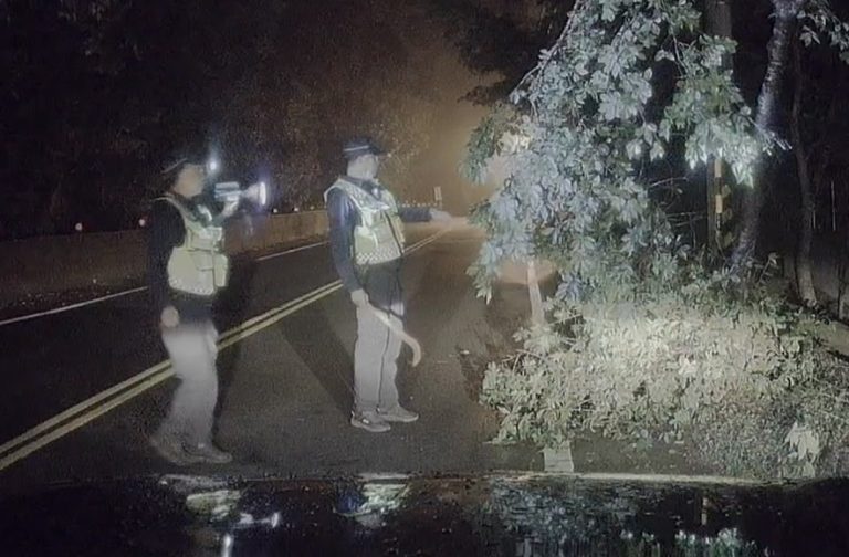 交通安全第一！和平警方員警夜間清除路障，確保用路人安全
