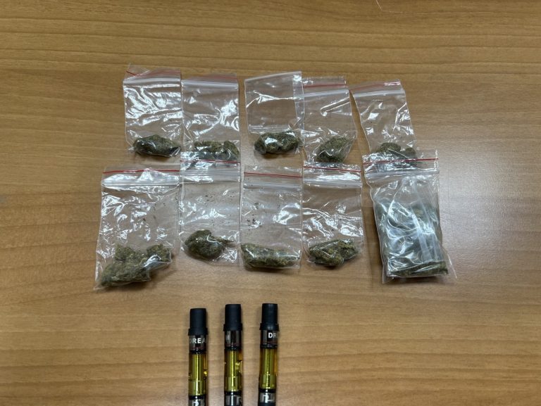 警察巡邏發現異狀 逮捕攜帶大麻菸草及煙彈的馬來西亞籍男子