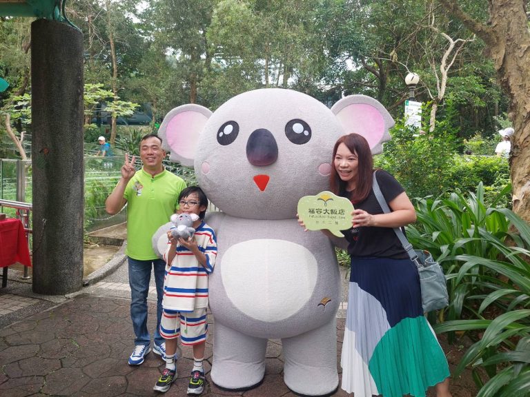 無尾熊芙蓉慶生會  動物園與福容大飯店火熱進行
