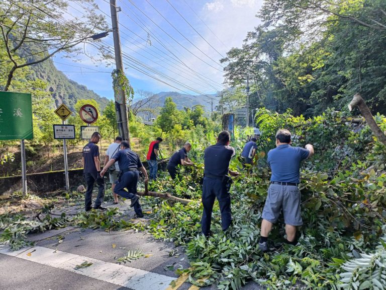 山區連日午後豪雨致路樹倒塌，台中警消與民眾協力恢復通行