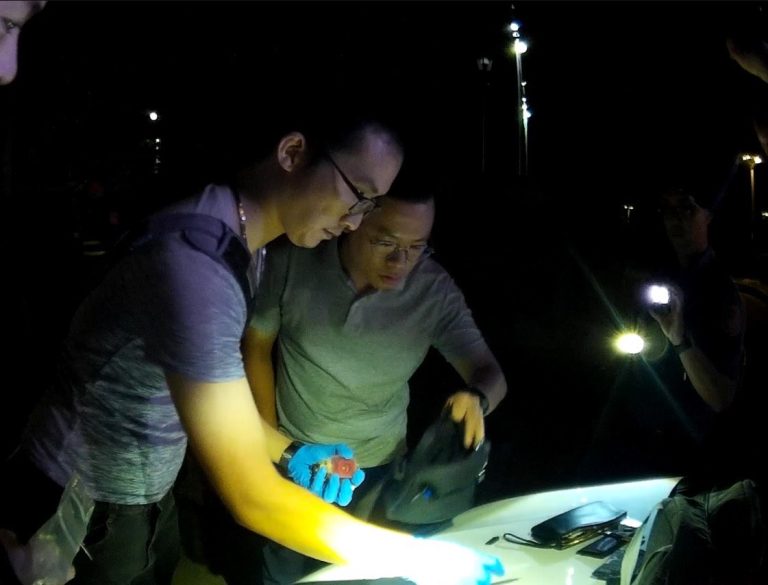 做賊喊抓賊   毒蟲冤喊遭毆打  遭警拆謊查獲毒品