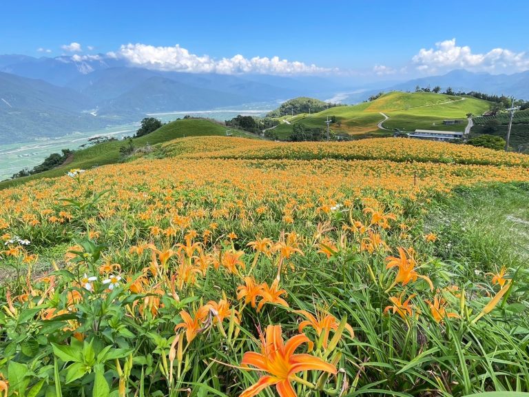 藍天•花海•耶穌光—人間天堂六十石山