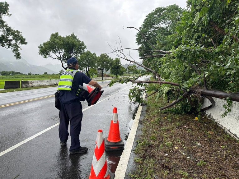 台東台9線多處路樹倒下阻路 警擺三角錐示警並通報路權單位移除
