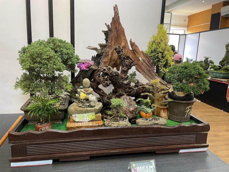 113年苗栗縣勛風盆景藝術展登場  展現自然縮影之美