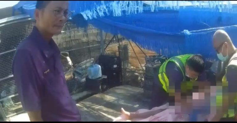 九旬翁中暑倒田中 全身覆泥險成兵馬俑 緊急送醫脫險