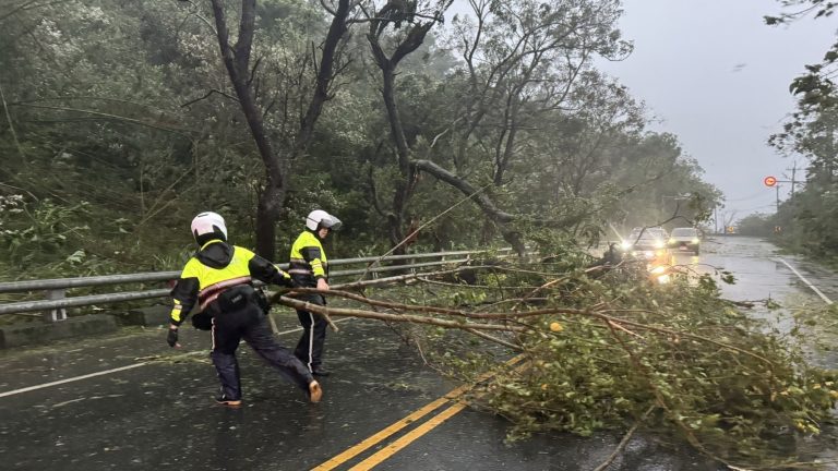 卑南臺9線路樹受康芮強襲倒塌 台東警迅速排除實施單向管制