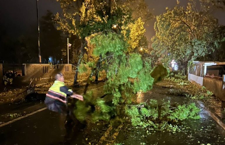 暗夜風雨不斷樹枝阻路 關山警徒手移除護交安