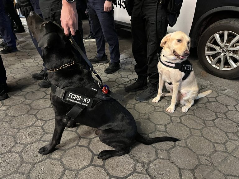 警犬出動！臺中市加強查緝新型毒品，守護市民安全