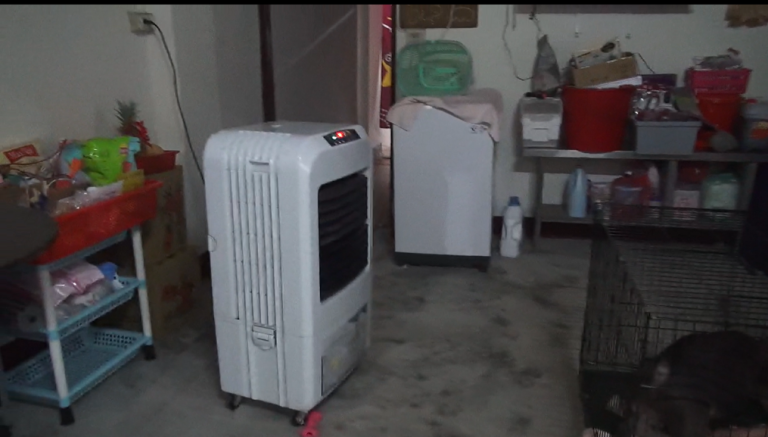 台中警拿下毒販   求情先把狗放冷氣房