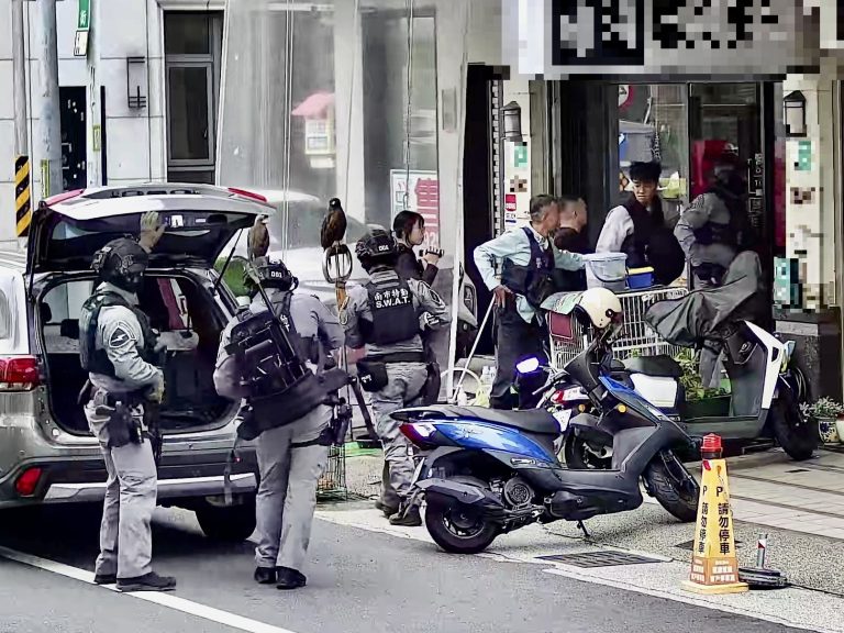 幫派寵物店涉暴力犯罪 南市警威力掃蕩12幫眾落網