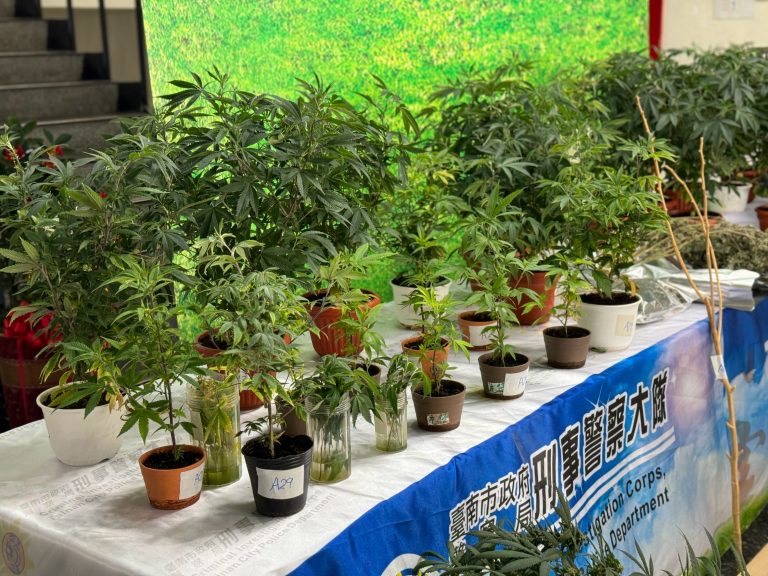 租豪宅種大麻！ 南市刑大成功偵破！   ｢假農民」遭起訴求重刑！