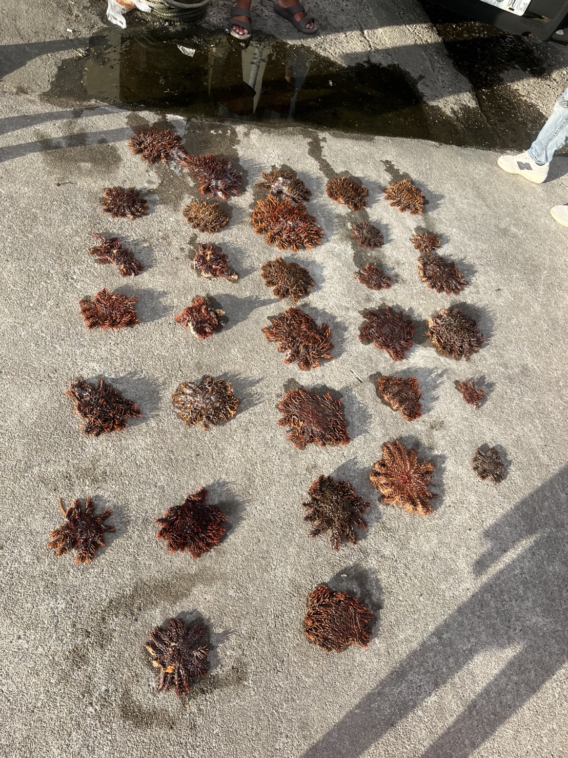 國科會領軍8家生醫新創進軍2025 BIO美國生技展 藥祇生醫再闖全球競賽決賽 2 IMG 4291