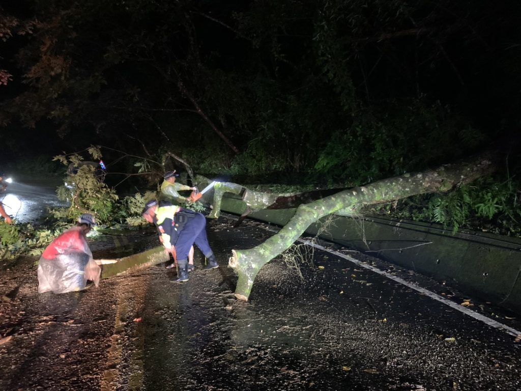 宜51線路樹橫倒阻交通 警方冒雨揮鋸救通行