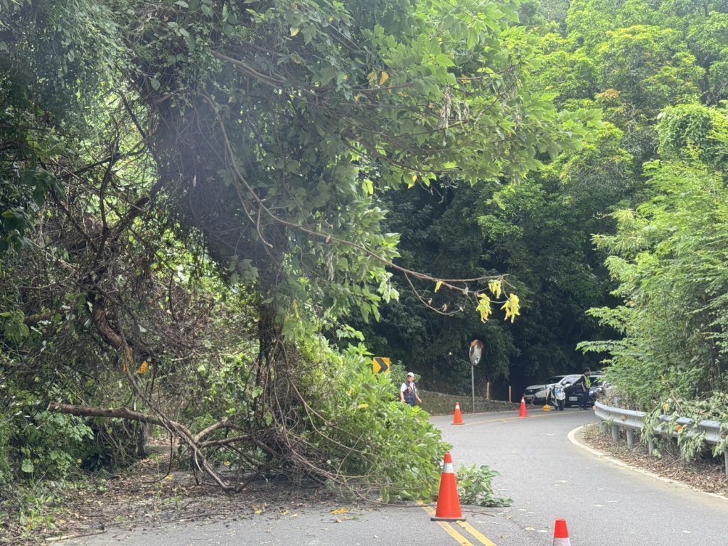 苗17線往縣道124丙線500公尺處路樹滑落 警方協助排除