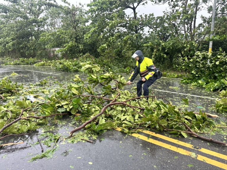 楊柳狂襲臺東 警員風雨中搬移倒樹排除路障