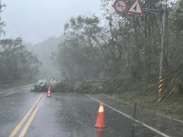 楊柳颱風強風豪雨肆虐 臺9線多處樹倒落石 初鹿警迅速排除維持通行