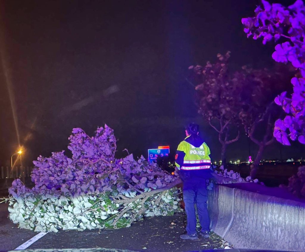 台61線深夜樹倒 雲林北港警迅速排除 交通即刻恢復