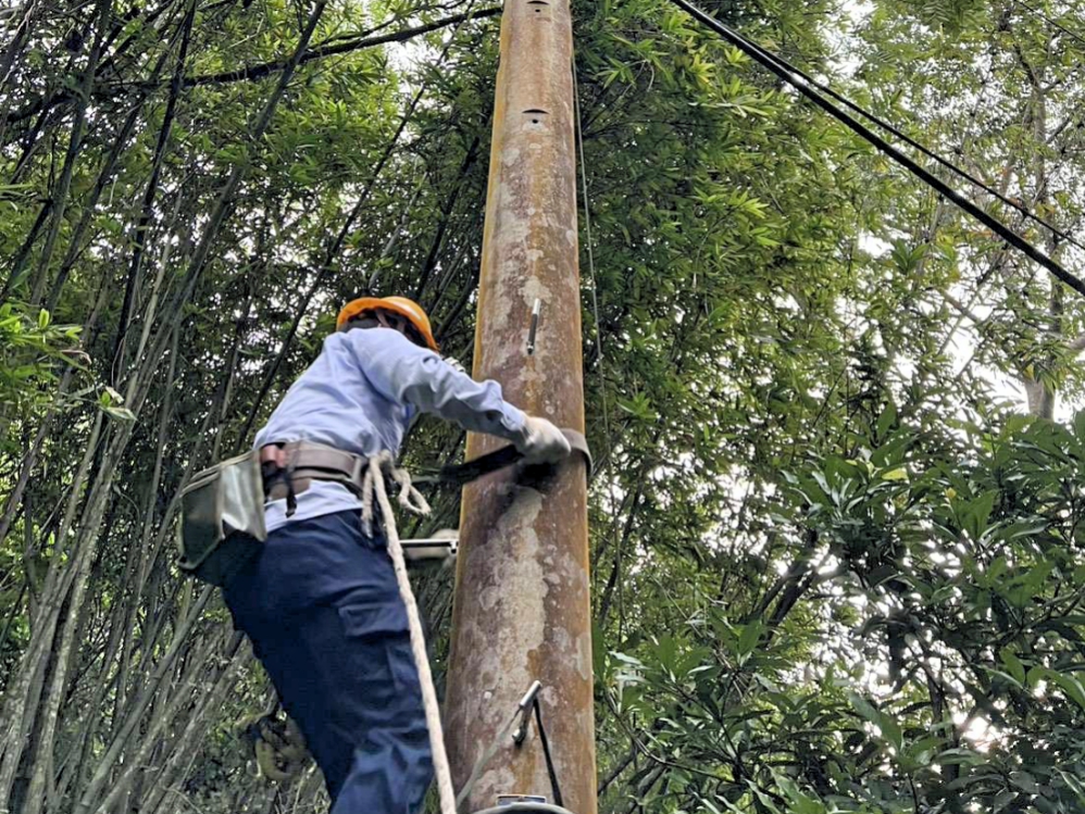 楊柳颱風遠離仍須注意電線掉落或外露　台電新竹區處：立即通知台電處理，避免釀成觸電意外