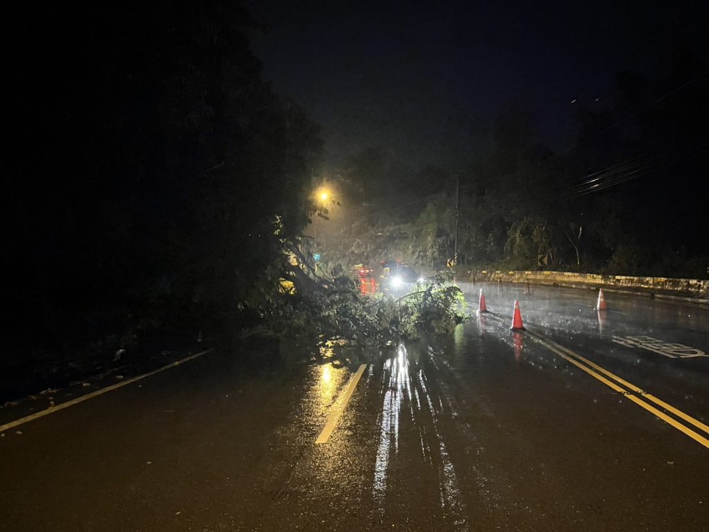 台三線140K路樹傾倒 警方交管提醒注意午後天氣