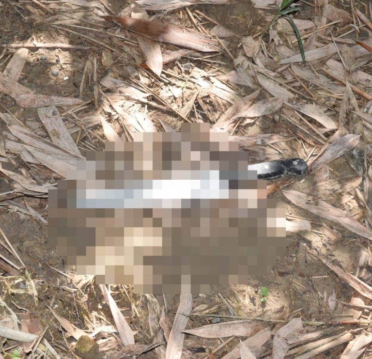 台中潭子驚傳凶殺案 男子農路路倒遭刀殺身亡