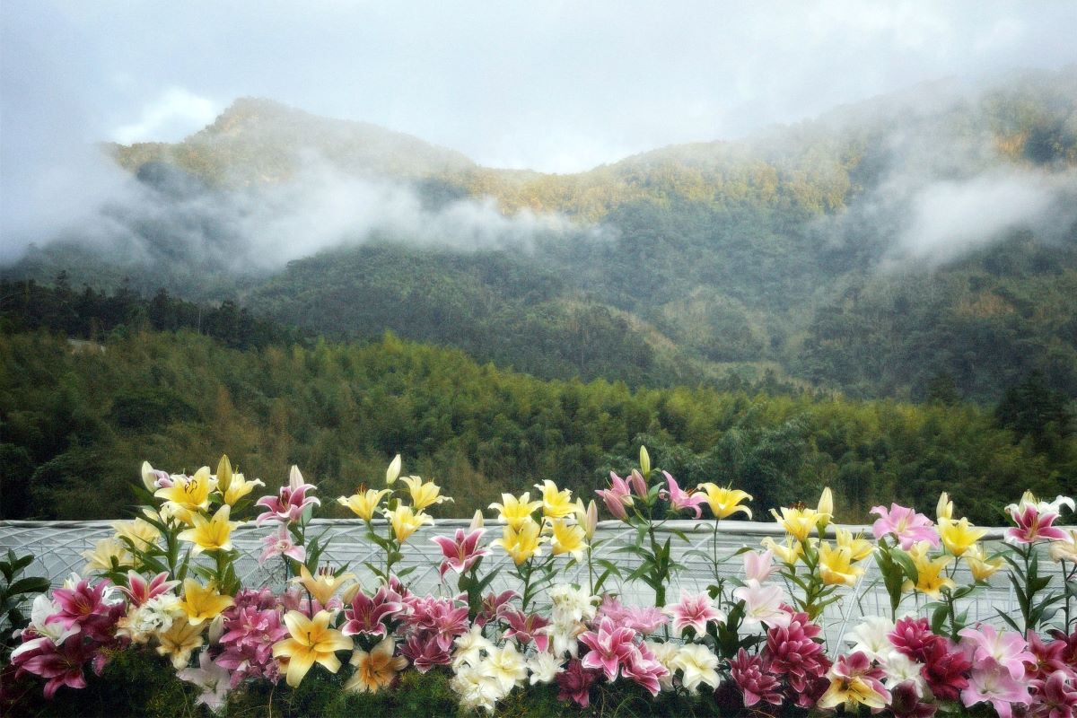 10月連假！阿里山賓館推出「鄒年慶部落探索」快閃優惠