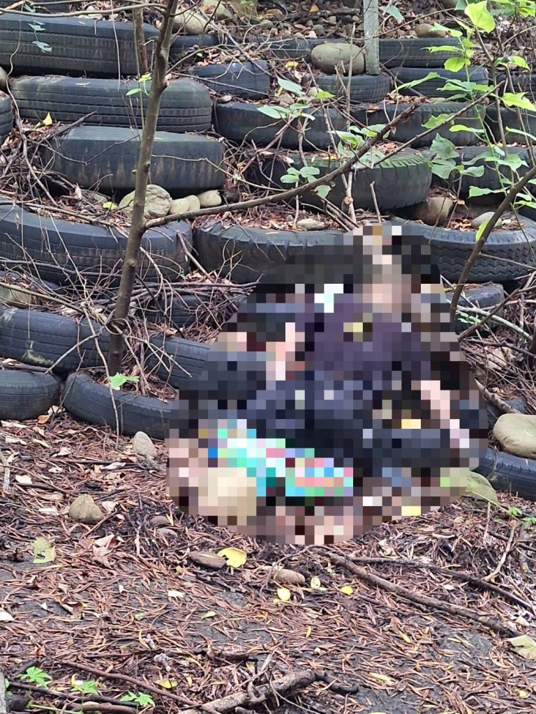 苗栗苑裡老翁意外死亡 警方報請司法相驗