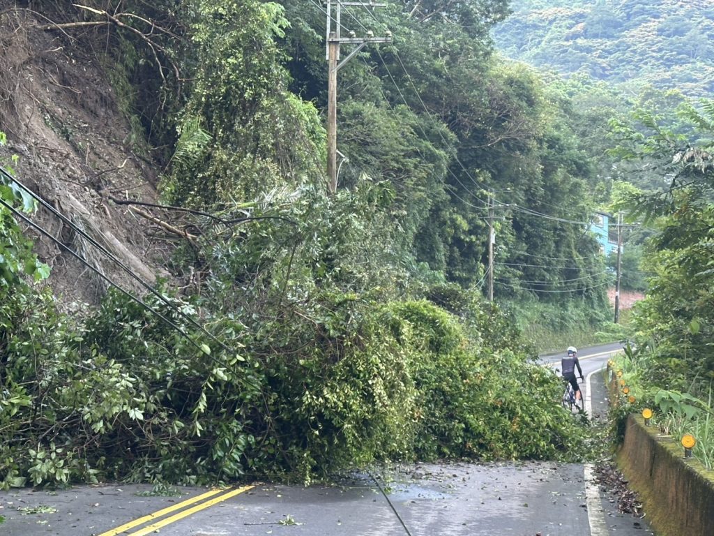 苗124線33.5K處路樹倒塌 警民協助排除