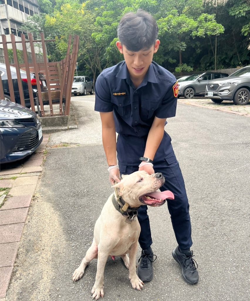 大犬隻誤闖幼兒園週邊  基四分局警即時處置助其返家