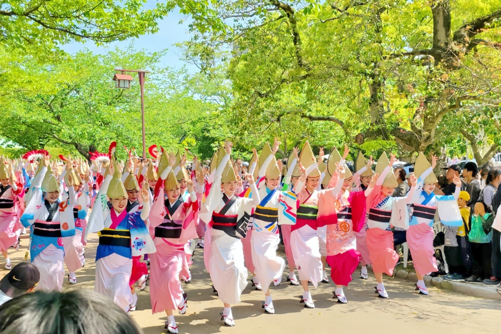 阿波舞公演x月光市集x手作體驗x限定美食　新竹SOGO秋日慶典適合全家大小同樂無負擔