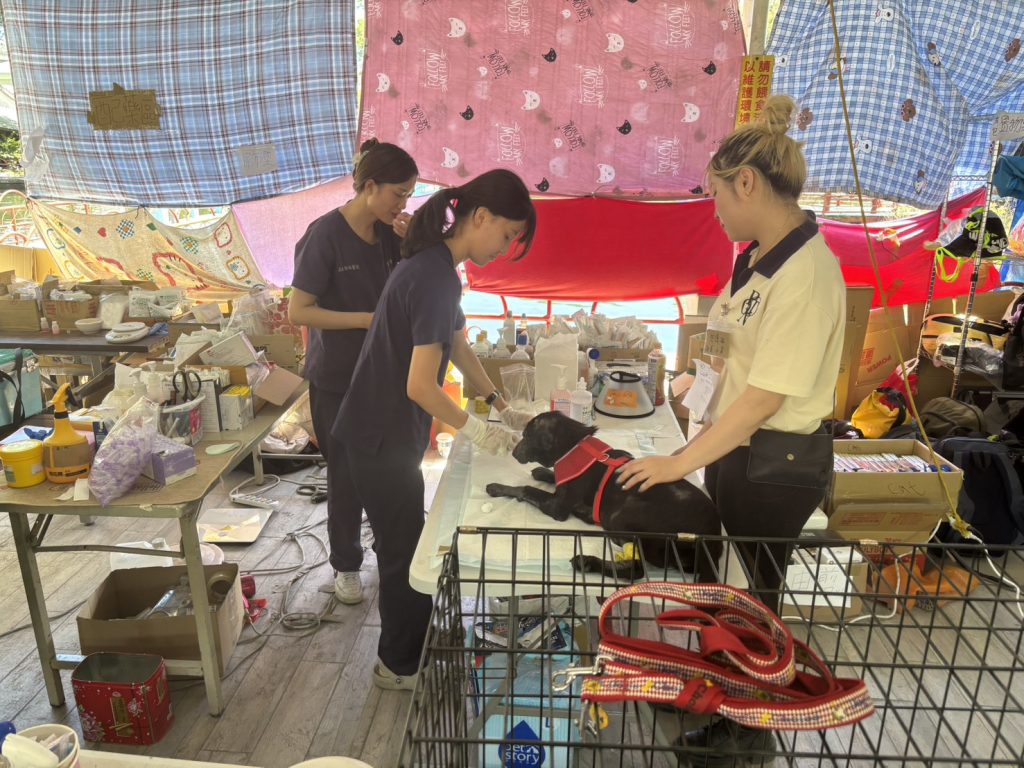 S__84123671_0 - 報新聞 Mega News