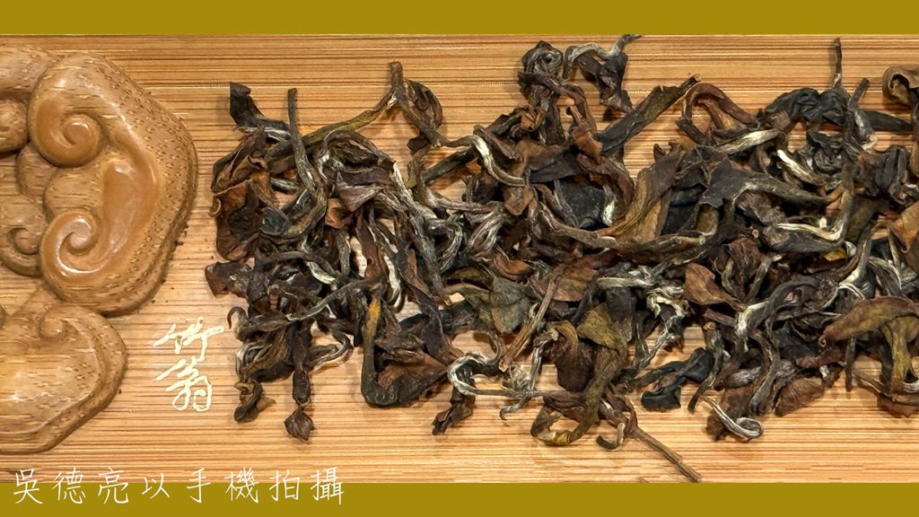 野放東方美人茶00002 - 報新聞 Mega News