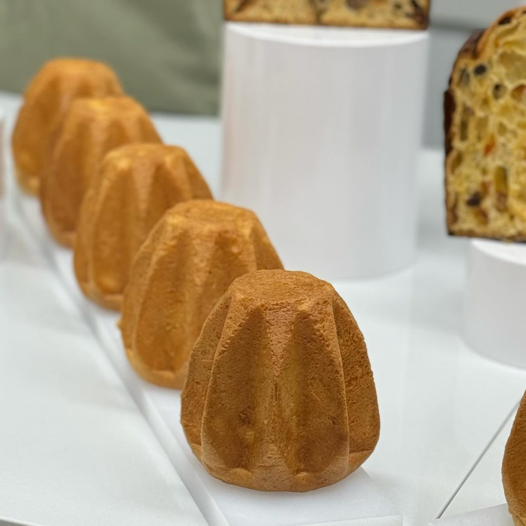 Massimiliano Liberatore 製作的潘多洛 Pandoro - 報新聞 Mega News