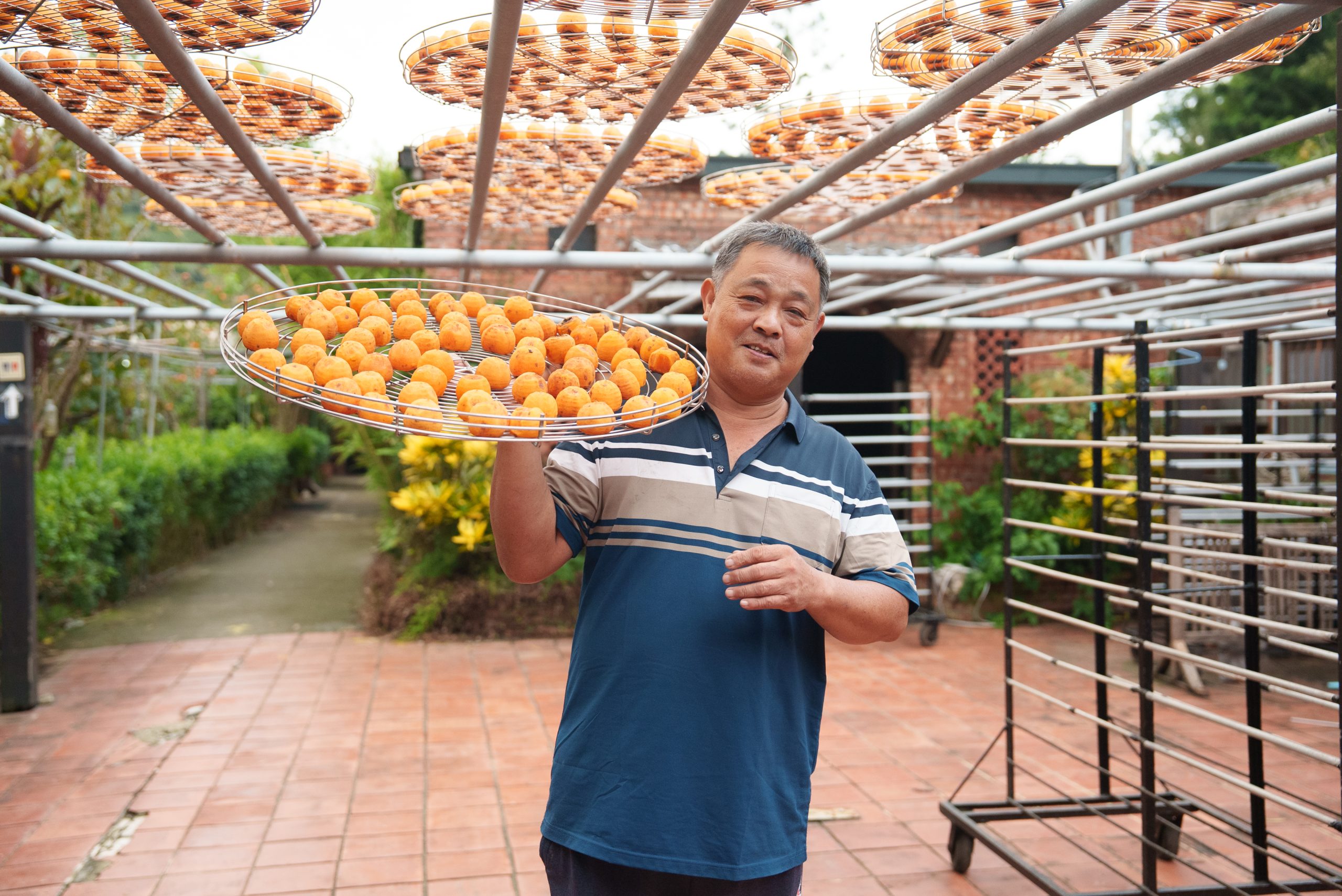 圖說金漢柿餅教育農園承襲家族三代製餅技藝目前由劉興武主理人同時為規劃董柿長說柿建立完整食農課程架構 - 報新聞 Mega News