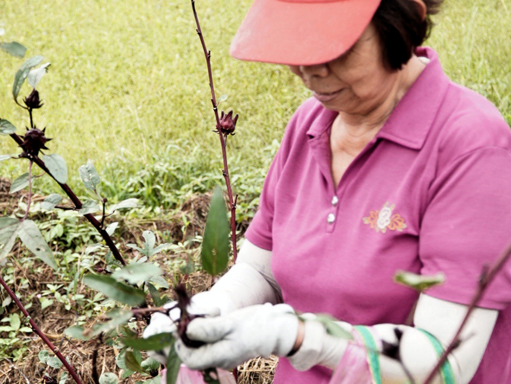 LINE_ALBUM_20251031_251031_171_Fotor - 報新聞 Mega News