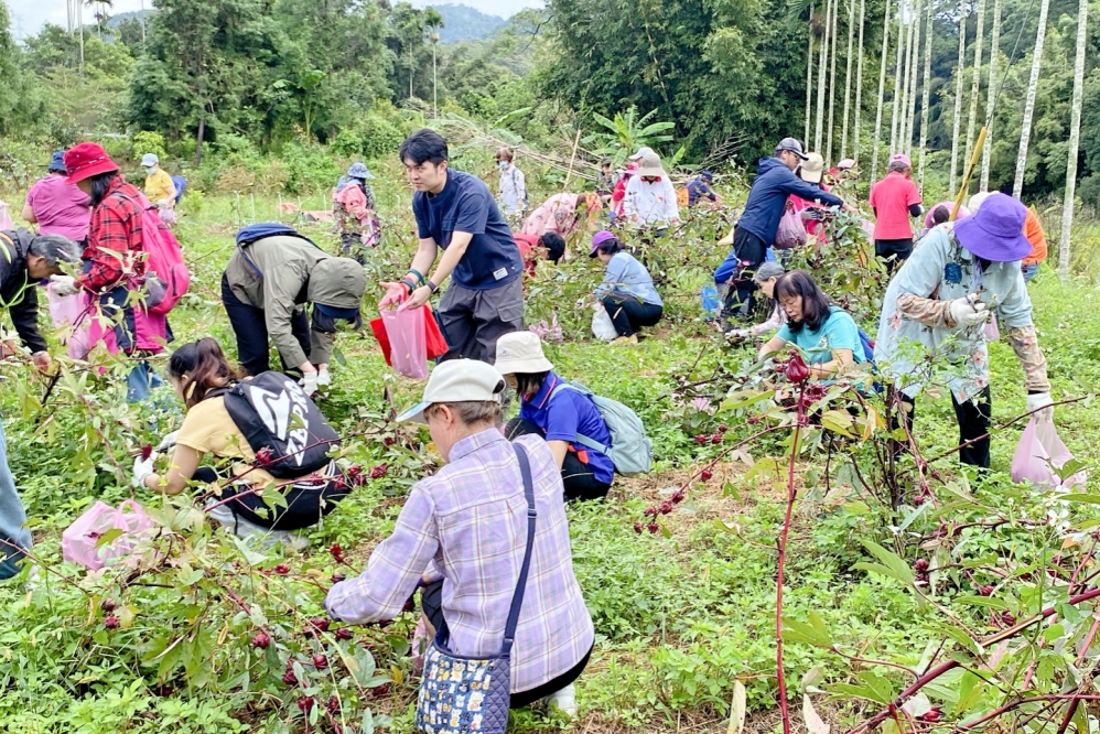 LINE_ALBUM_114_Fotor - 報新聞 Mega News