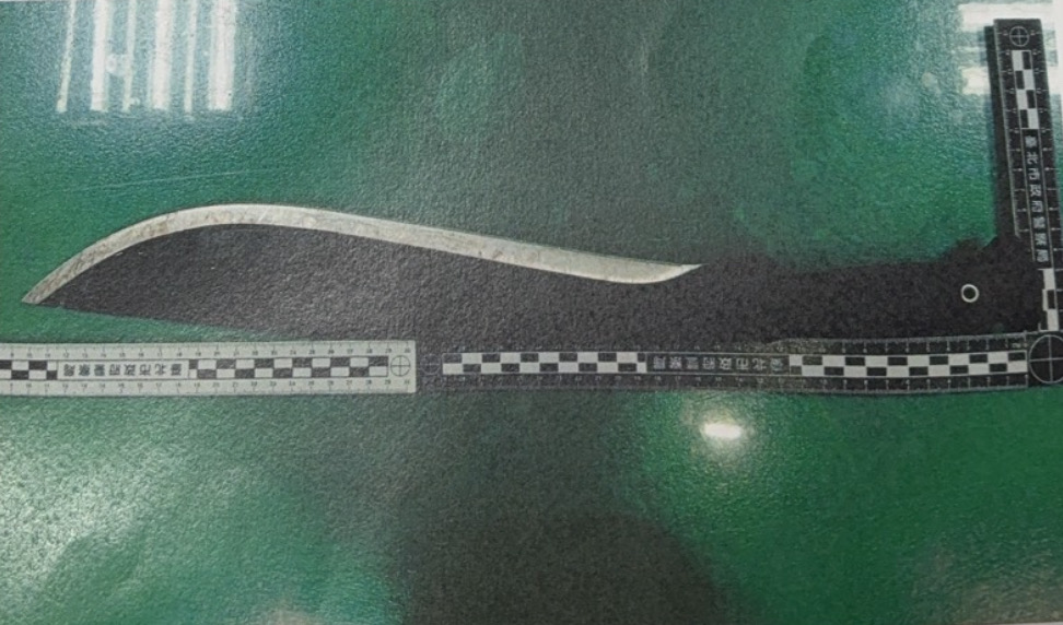 清晨持刀砍樹驚動圓山飯店 警方到場壓制男子依法偵辦