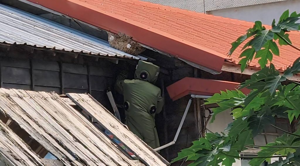 S__457629708_0 - 報新聞 Mega News