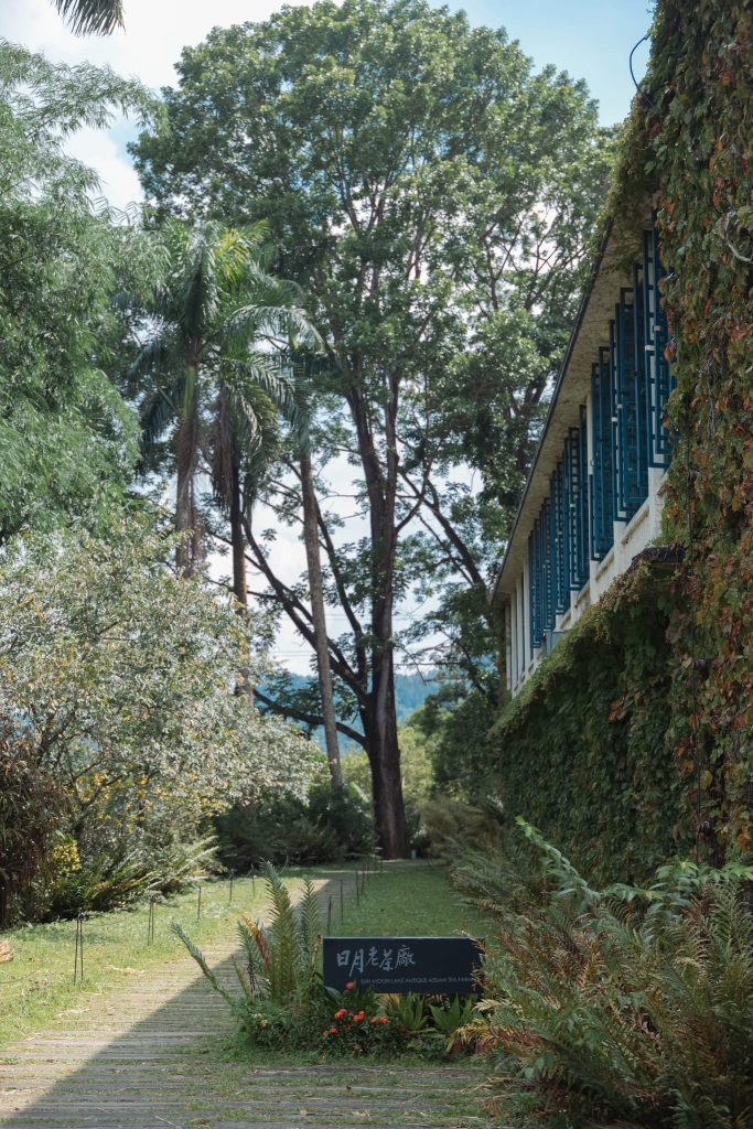 S__458620935_0 - 報新聞 Mega News