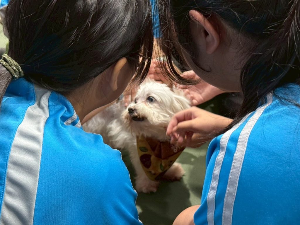 APA校園動保教育宣導活動00002 - 報新聞 Mega News